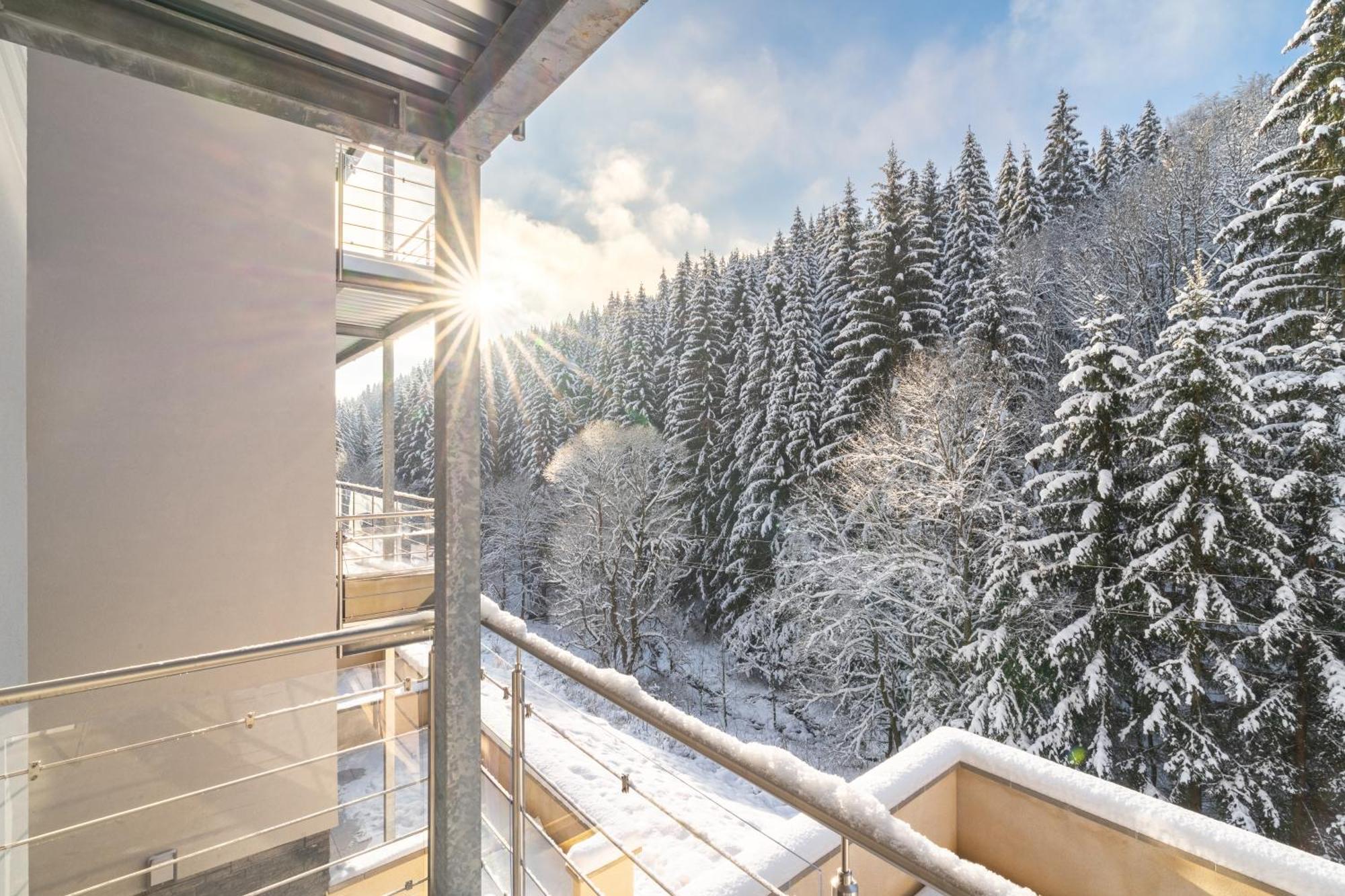 Hillpark Krkonose Apartment Vitkovice Exterior photo